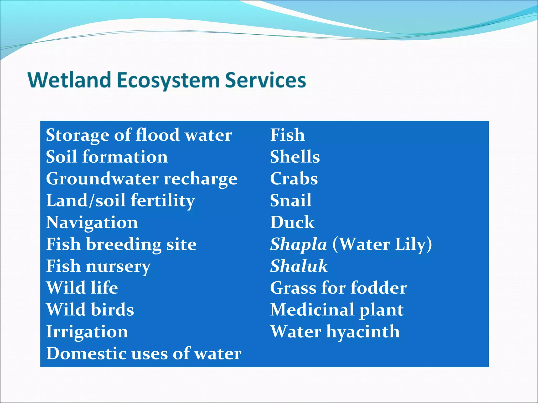 Storage of flood water   Fish
Soil formation           Shells
Groundwater recharge     Crabs
Land/soil fertility      Snail
Navigation               Duck
Fish breeding site       Shapla (Water Lily)
Fish nursery             Shaluk
Wild life                Grass for fodder
Wild birds               Medicinal plant
Irrigation               Water hyacinth
Domestic uses of water
 