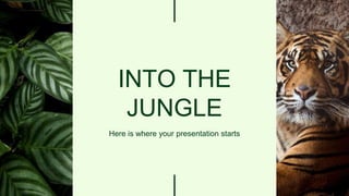 INTO THE
JUNGLE
Here is where your presentation starts
 