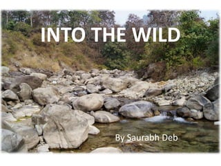 INTO THE WILD



      By Saurabh Deb
 