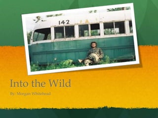 Into the Wild
By: Morgan Whitehead
 