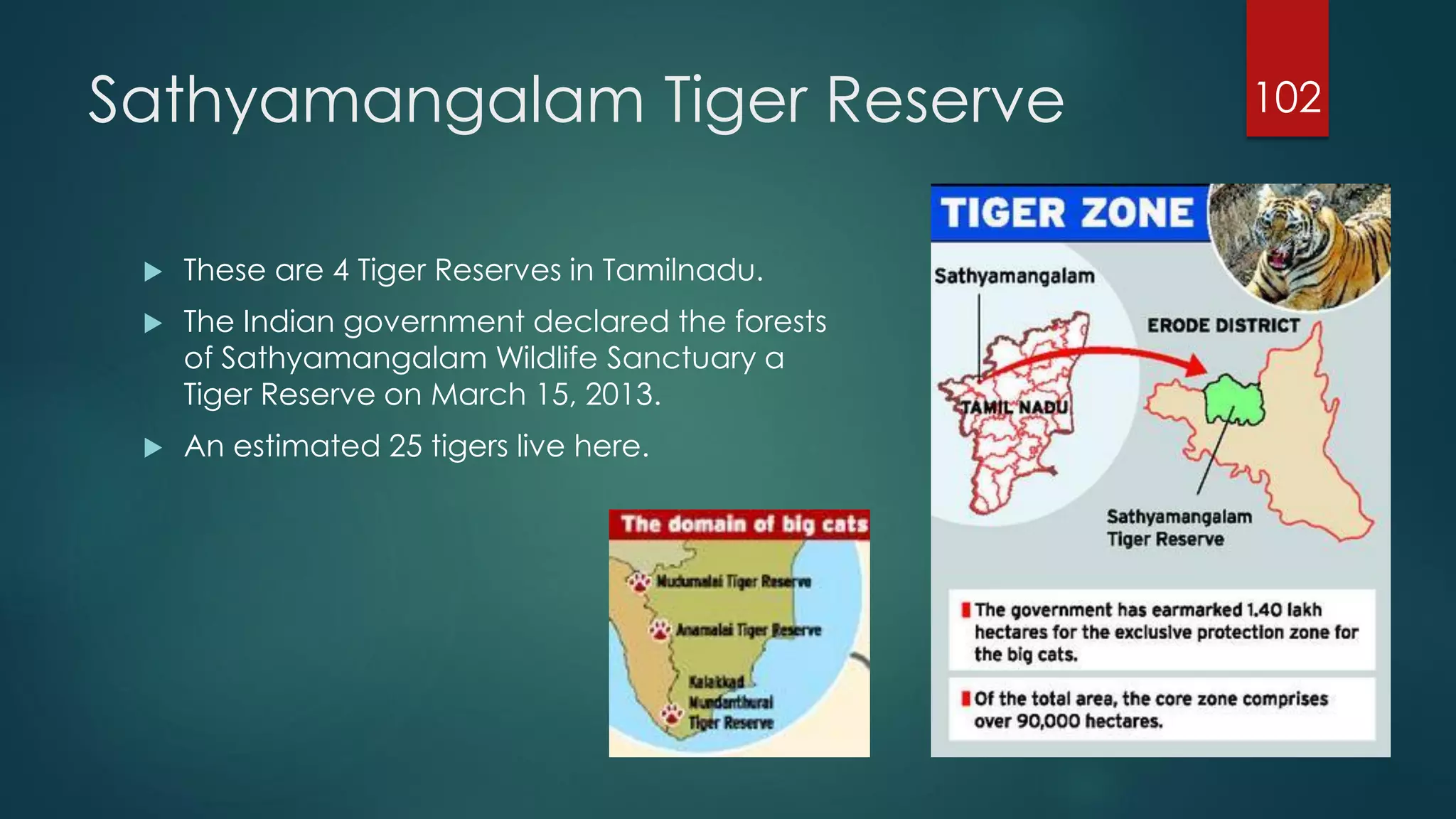 Sathyamangalam Tiger Reserve


These are 4 Tiger Reserves in Tamilnadu.



The Indian government declared the forests
of Sathyamangalam Wildlife Sanctuary a
Tiger Reserve on March 15, 2013.



An estimated 25 tigers live here.

102

 