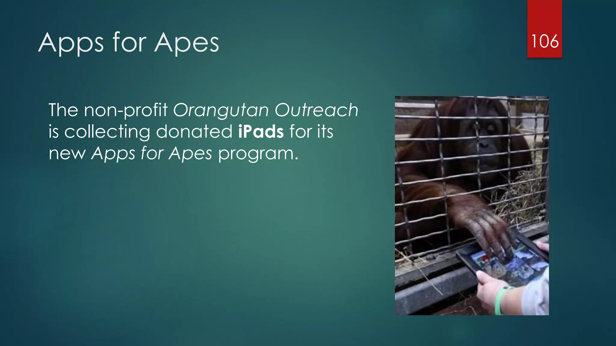 Apps for Apes
The non-profit Orangutan Outreach
is collecting donated iPads for its
new Apps for Apes program.

106

 