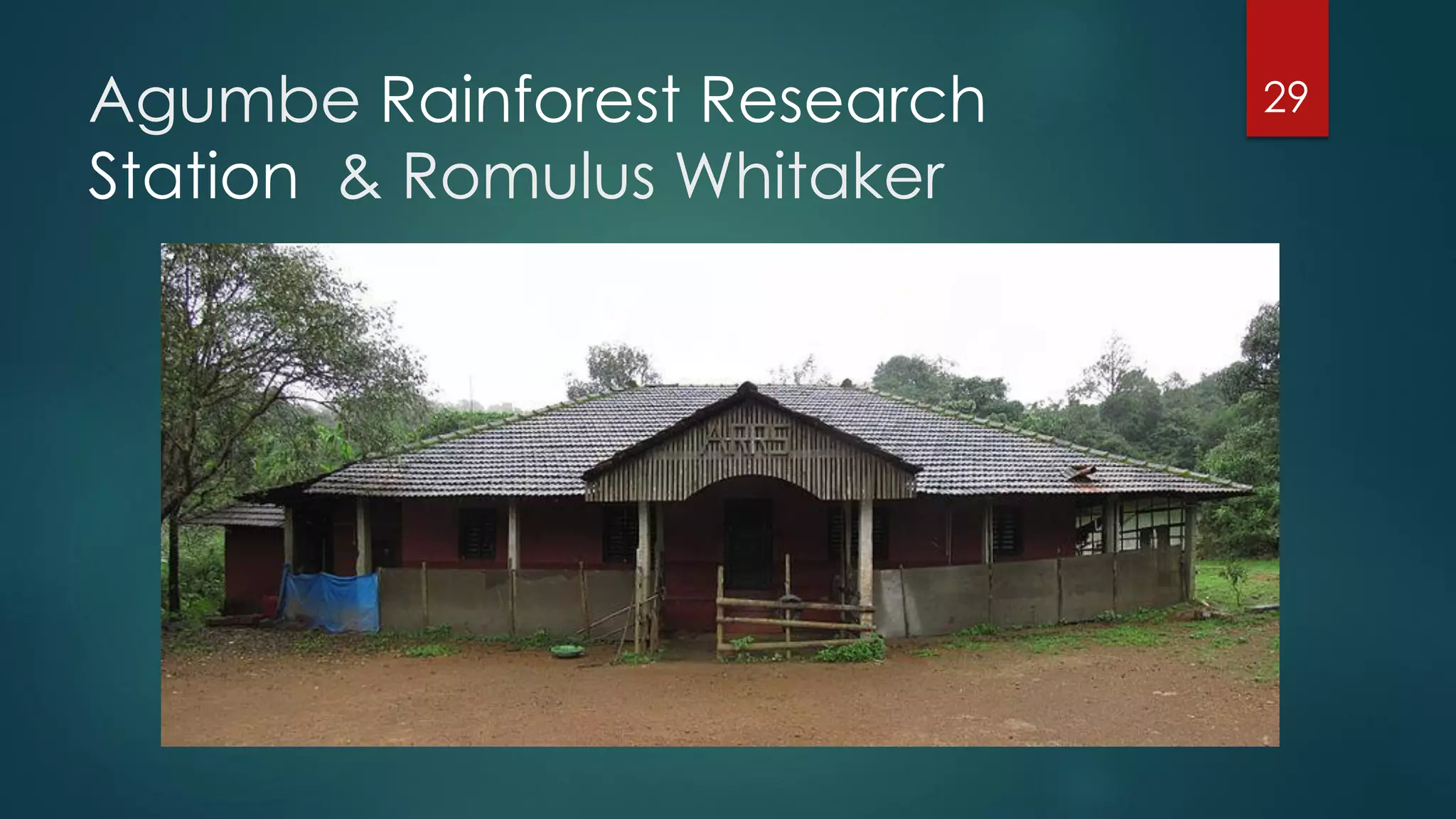 Agumbe Rainforest Research
Station & Romulus Whitaker

29

 