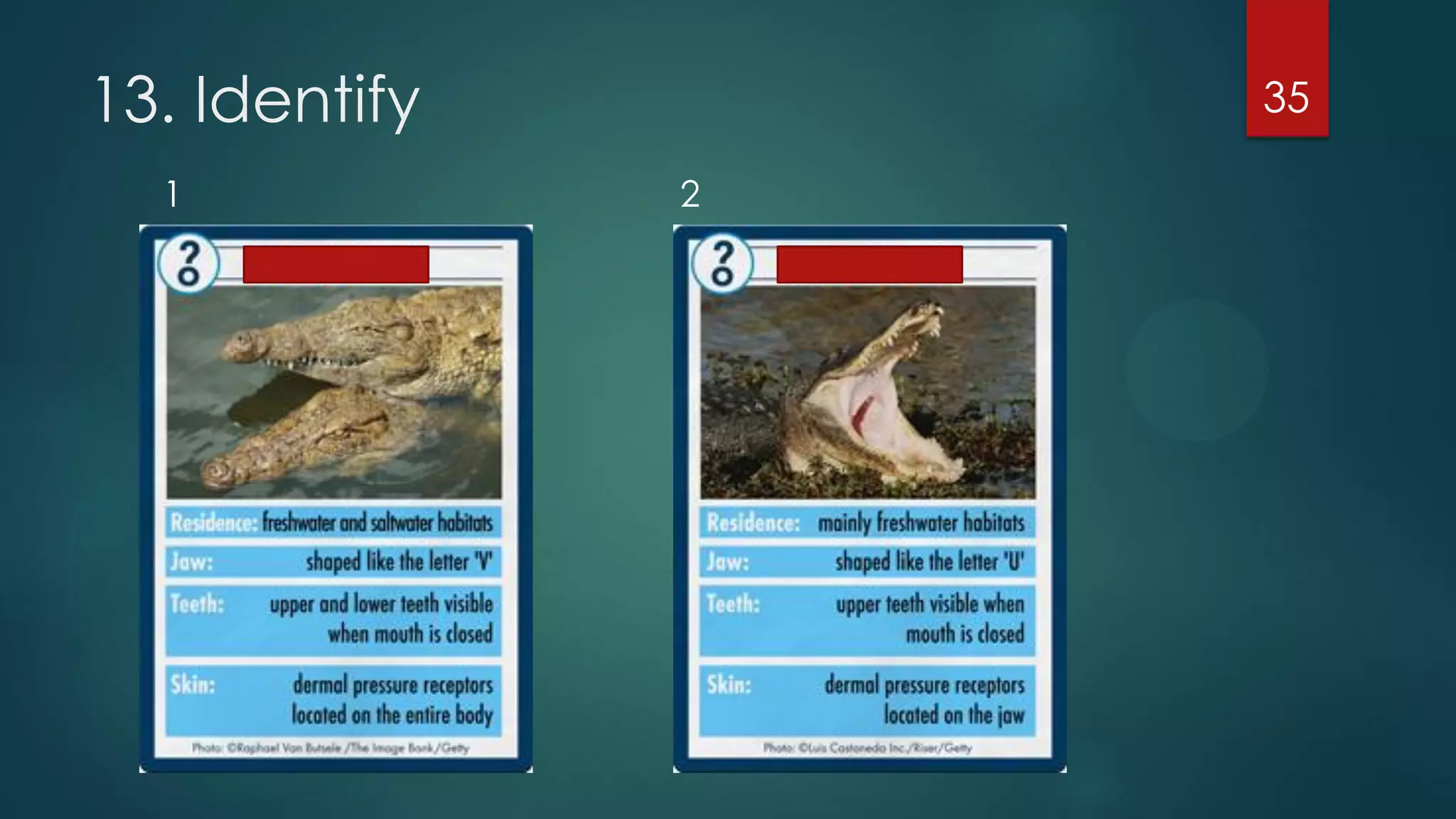 13. Identify
1

35
2

 