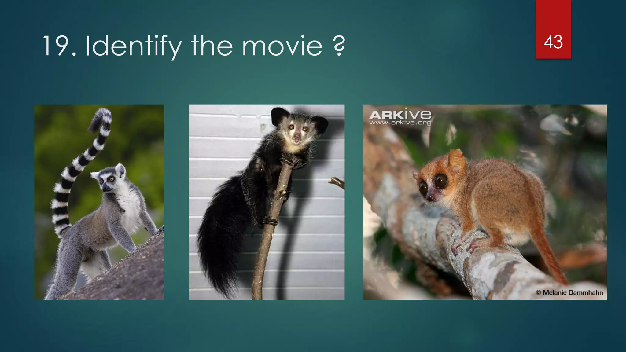 19. Identify the movie ?

43

 