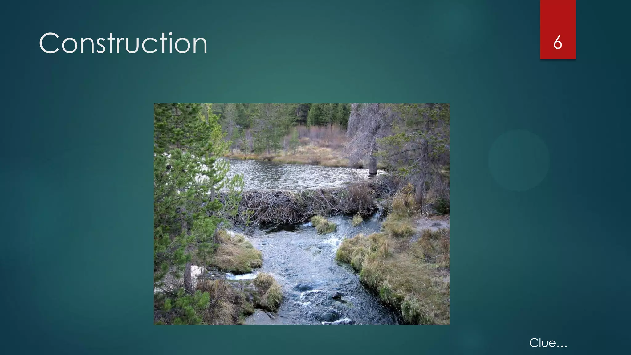 Construction

6

Clue…

 