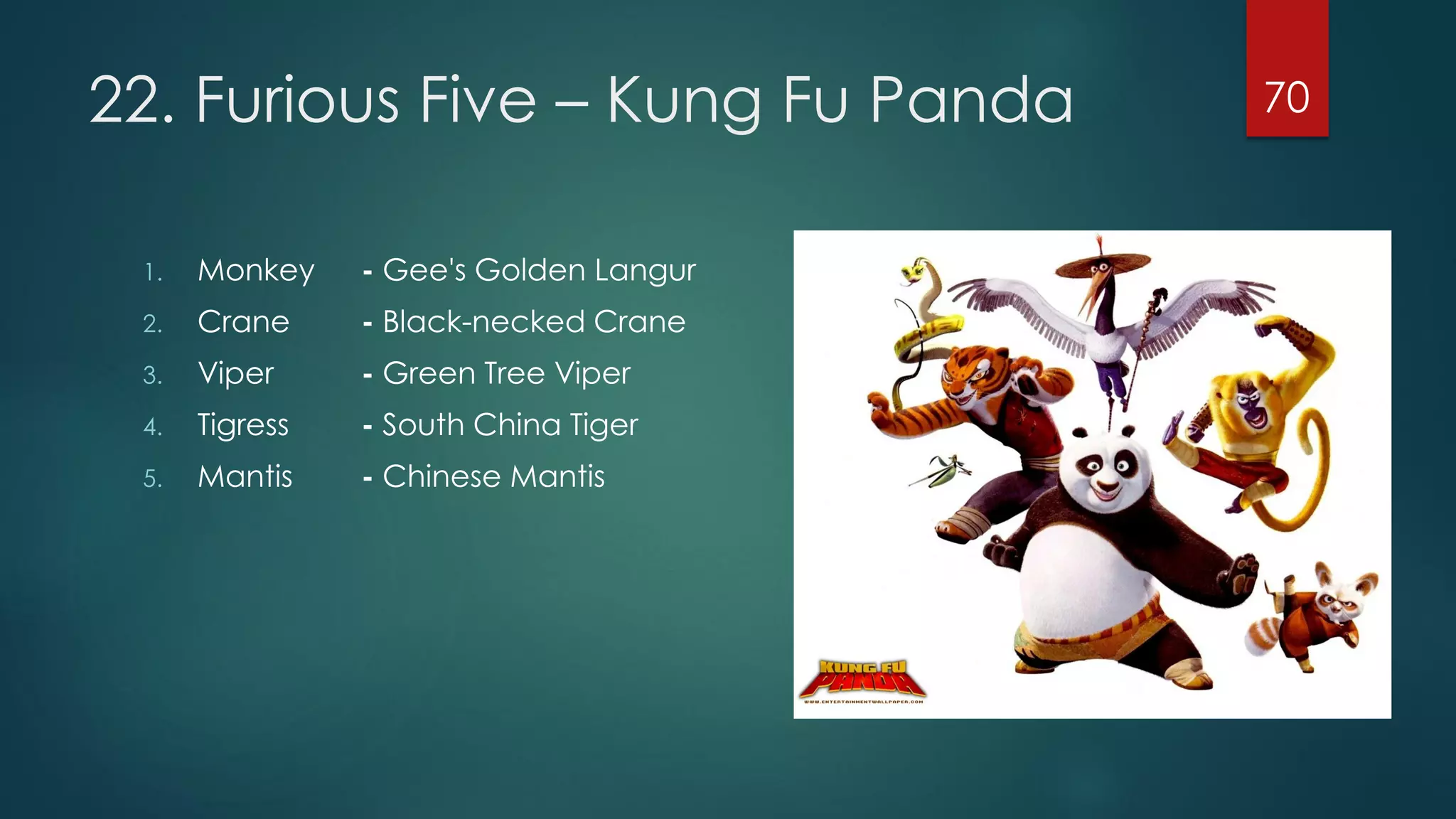 22. Furious Five – Kung Fu Panda
1.

Monkey

- Gee's Golden Langur

2.

Crane

- Black-necked Crane

3.

Viper

- Green Tree Viper

4.

Tigress

- South China Tiger

5.

Mantis

- Chinese Mantis

70

 