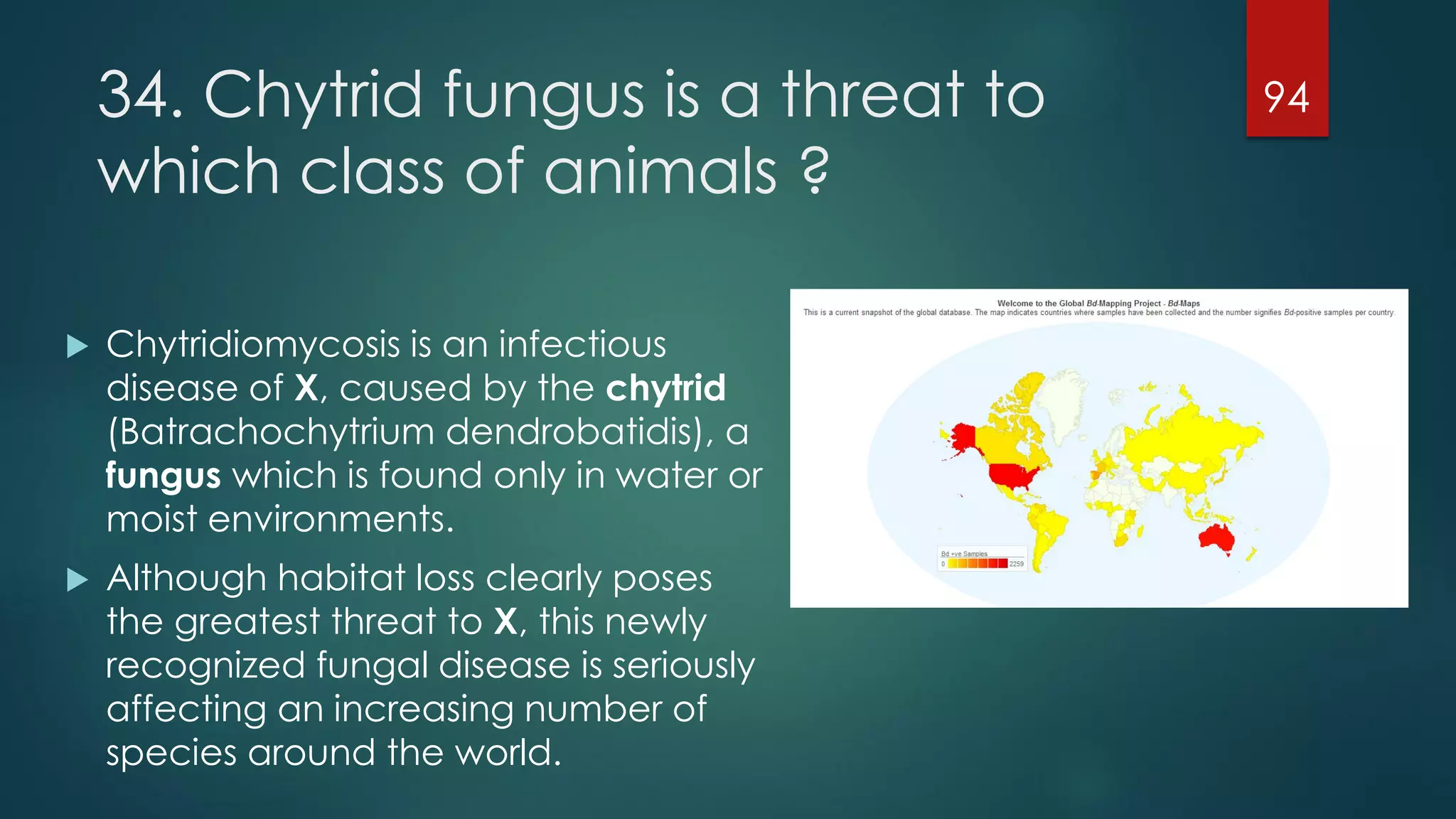 34. Chytrid fungus is a threat to
which class of animals ?


Chytridiomycosis is an infectious
disease of X, caused by the chytrid
(Batrachochytrium dendrobatidis), a
fungus which is found only in water or
moist environments.



Although habitat loss clearly poses
the greatest threat to X, this newly
recognized fungal disease is seriously
affecting an increasing number of
species around the world.

94

 