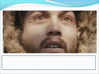 lesson plan Into the wild