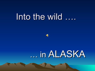Into the wild …. …  in  ALASKA 