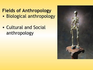 Into to anthropology | PPT