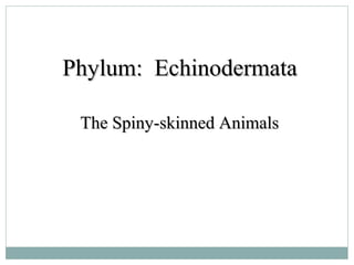 Phylum: EchinodermataPhylum: Echinodermata
The Spiny-skinned AnimalsThe Spiny-skinned Animals
 