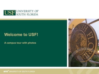Welcome to USF! A campus tour with photos 