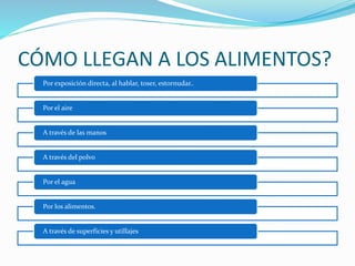 CÓMO LLEGAN A LOS ALIMENTOS?
Por exposición directa, al hablar, toser, estornudar..
Por el aire
A través de las manos
A través del polvo
Por el agua
Por los alimentos.
A través de superficies y utillajes
 