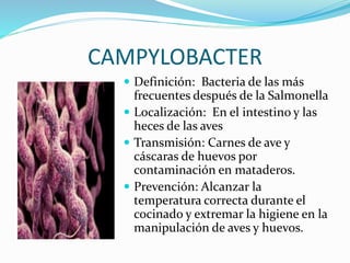 CAMPYLOBACTER
 Definición: Bacteria de las más
frecuentes después de la Salmonella
 Localización: En el intestino y las
heces de las aves
 Transmisión: Carnes de ave y
cáscaras de huevos por
contaminación en mataderos.
 Prevención: Alcanzar la
temperatura correcta durante el
cocinado y extremar la higiene en la
manipulación de aves y huevos.
 