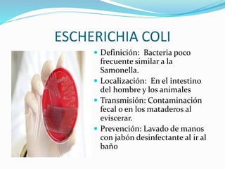 ESCHERICHIA COLI
 Definición: Bacteria poco
frecuente similar a la
Samonella.
 Localización: En el intestino
del hombre y los animales
 Transmisión: Contaminación
fecal o en los mataderos al
eviscerar.
 Prevención: Lavado de manos
con jabón desinfectante al ir al
baño
 