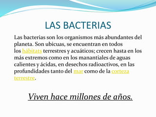 LAS BACTERIAS
Las bacterias son los organismos más abundantes del
planeta. Son ubicuas, se encuentran en todos
los hábitats terrestres y acuáticos; crecen hasta en los
más extremos como en los manantiales de aguas
calientes y ácidas, en desechos radioactivos, en las
profundidades tanto del mar como de la corteza
terrestre.
Viven hace millones de años.
 