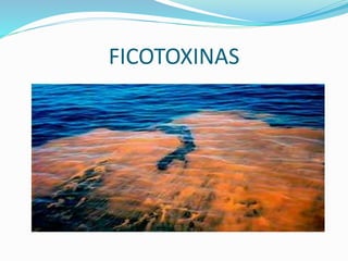 FICOTOXINAS
 