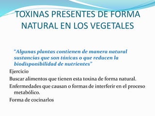 TOXINAS PRESENTES DE FORMA
NATURAL EN LOS VEGETALES
“Algunas plantas contienen de manera natural
sustancias que son tóxicas o que reducen la
biodisponibilidad de nutrientes”
Ejercicio
Buscar alimentos que tienen esta toxina de forma natural.
Enfermedades que causan o formas de interferir en el proceso
metabólico.
Forma de cocinarlos
 