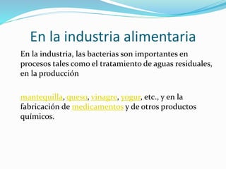 En la industria alimentaria
En la industria, las bacterias son importantes en
procesos tales como el tratamiento de aguas residuales,
en la producción
mantequilla, queso, vinagre, yogur, etc., y en la
fabricación de medicamentos y de otros productos
químicos.
 