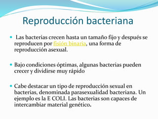 Reproducción bacteriana
 Las bacterias crecen hasta un tamaño fijo y después se
reproducen por fisión binaria, una forma de
reproducción asexual.
 Bajo condiciones óptimas, algunas bacterias pueden
crecer y dividirse muy rápido
 Cabe destacar un tipo de reproducción sexual en
bacterias, denominada parasexualidad bacteriana. Un
ejemplo es la E COLI. Las bacterias son capaces de
intercambiar material genético.
 