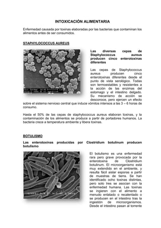 INTOXICACIÓN ALIMENTARIA<br />Enfermedad causada por toxinas elaboradas por las bacterias que contaminan los alimentos antes de ser consumidos. <br />STAPHYLOCOCCUS AUREUS<br />22860202565Las diversas cepas de Staphylococcus aureus producen cinco enterotoxinas diferentes<br />Las cepas de Staphylococcus aureus producen cinco enterotoxinas diferentes desde el punto de vista serológico. Todas son termoestables y resistentes a la acción de las enzimas del estomago y el intestino delgado. Su mecanismo de acción se desconoce, pero ejercen un efecto sobre el sistema nervioso central que induce vómitos intensos a las 3 – 6 horas de consumo.<br />Hasta el 50% de las cepas de staphylococcus aureus elaboran toxinas, y la contaminación de los alimentos se produce a partir de portadores humanos. La bacteria crece a temperatura ambiente y libera toxinas. <br />BOTULISMO<br />Las enterotoxinas producidas por Clostridium botulinum producen botulismo  <br />22860-3175El botulismo es una enfermedad rara pero grave provocada por la enterotoxina de Clostridium botulinum. El microorganismo está muy extendido en el ambiente, y resulta fácil aislar esporas a partir de muestras de tierra. Se han identificado ocho toxinas distintas, pero solo tres se asocian con la enfermedad humana. Las toxinas se ingieren con el alimento a menudo enlatado o recalentado o se producen en el intestino tras la ingestión de microorganismos. Desde el intestino pasan al torrente sanguíneo y alcanzan así su lugar de acción que son las sinapsis nerviosas periféricas. La acción de la toxina consiste en bloquear la neurotransmisión. <br />El botulismo infantil es la forma más frecuente de botulismo <br />Hay tres formas de botulismo:<br />Botulismo transmitido por alimentos<br />Botulismo infantil<br />Botulismo de las heridas<br />El botulismo transmitido por alimentos, elaboran la toxina en el alimento que después se ingiere. En el botulismo infantil y por heridas, los microorganismos se implantan en la herida.<br />El cuadro clínico se caracteriza por parálisis flácida seguida de debilidad muscular progresiva y parada respiratoria. <br />Para el diagnostico de laboratorio del botulismo se inyectan muestras de heces y de alimentos en ratones<br />El diagnostico de laboratorio se basa en gran medida en demostrar la presencia de la toxina, el procedimiento de inyectar muestras de heces y de alimentos en ratones previamente protegidos.<br />La antitoxina polivalente se recomienda como complemento del tratamiento de apoyo intensivo para el botulismo<br />Mantenimiento de los alimentos en un medio ácido<br />Mantenimiento de los alimentos a menos de 4ºC<br />La desnutrición de la toxina presente en los alimentos por calentamiento a 80ºC durante 30 minutos<br />BIBLIOGRAFÍA:<br />MIMS; Microbiología; Infecciones del Tracto Gastrointestinal; Enfermedad diarreica; 253-267pp.<br />