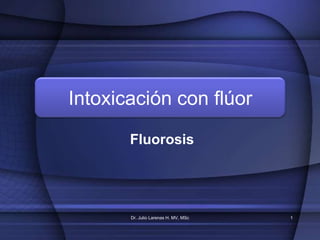 Intoxicación con flúor Fluorosis Dr. Julio Larenas H. MV, MSc 1 