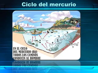 Ciclo del mercurio