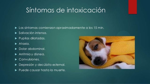 T tulos relacionados