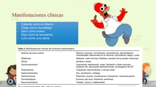 Manifestaciones clínicas
- Caliente como el infierno
- Ciego como murciélago
- Seco como hueso
- Rojo como la remolacha
- Loco como una cabra
 