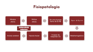 Fe Intoxicación nitritos y nitratos Grupo 3.pptx