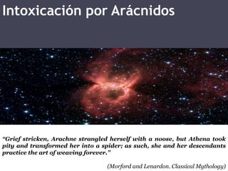 Intoxicación por Arácnidos “Grief stricken, Arachne strangled herself with a noose, but Athena took pity and transformed her into a spider; as such, she and her descendants practice the art of weavingforever.” (Morford and Lenardon. Classical Mythology) 