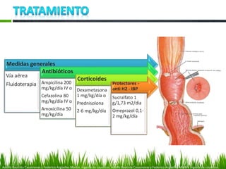 Medidas generales
Vía aérea
Fluidoterapia
Antibióticos
Ampicilina 200
mg/kg/día IV o
Cefazolina 80
mg/kg/día IV o
Amoxicilina 50
mg/kg/día
Corticoides
Dexametasona
1 mg/kg/día o
Prednisolona
2-6 mg/kg/día
Protectores -
anti H2 - IBP
Sucralfato 1
g/1,73 m2/día
Omeprazol 0,1-
2 mg/kg/día
Adolfo Bautista Casasnovas y Federico Argüelles Martín. Ingesta de cáusticos. Adolfo Bautista Casasnovas y Federico Argüelles Martín. Ingesta de cáusticos.
 