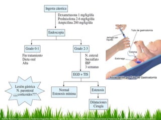 Adolfo Bautista Casasnovas y Federico Argüelles Martín. Ingesta de cáusticos. Adolfo Bautista Casasnovas y Federico Argüelles Martín. Ingesta de cáusticos.
 