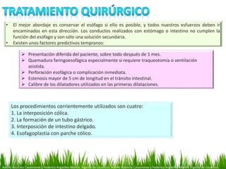 Adolfo Bautista Casasnovas y Federico Argüelles Martín. Ingesta de cáusticos. Adolfo Bautista Casasnovas y Federico Argüelles Martín. Ingesta de cáusticos.
• El mejor abordaje es conservar el esófago si ello es posible, y todos nuestros esfuerzos deben ir
encaminados en esta dirección. Los conductos realizados con estómago o intestino no cumplen la
función del esófago y son sólo una solución secundaria.
• Existen unos factores predictivos tempranos:
Los procedimientos corrientemente utilizados son cuatro:
1. La interposición cólica.
2. La formación de un tubo gástrico.
3. Interposición de intestino delgado.
4. Esofagoplastia con parche cólico.
 Presentación diferida del paciente, sobre todo después de 1 mes.
 Quemadura faringoesofágica especialmente si requiere traqueotomía o ventilación
asistida.
 Perforación esofágica o complicación inmediata.
 Estenosis mayor de 5 cm de longitud en el tránsito intestinal.
 Calibre de los dilatadores utilizados en las primeras dilataciones.
 