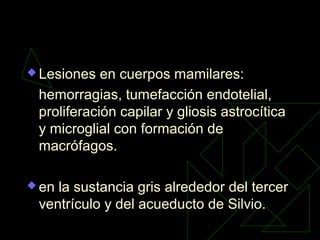  Lesiones en cuerpos mamilares:
hemorragias, tumefacción endotelial,
proliferación capilar y gliosis astrocítica
y microglial con formación de
macrófagos.
 en la sustancia gris alrededor del tercer
ventrículo y del acueducto de Silvio.
 