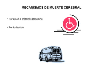 MECANISMOS DE MUERTE CEREBRAL Por unión a proteínas (albumina) Por ionización 