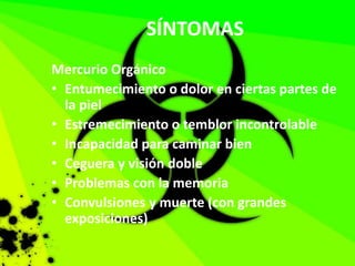 SÍNTOMAS
Mercurio Orgánico
• Entumecimiento o dolor en ciertas partes de
la piel
• Estremecimiento o temblor incontrolable
• Incapacidad para caminar bien
• Ceguera y visión doble
• Problemas con la memoria
• Convulsiones y muerte (con grandes
exposiciones)
 