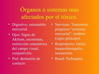 Órganos o sistemas mas afectados por el tóxico. <ul><li>Digestivo: estomatitis mercurial. </li></ul><ul><li>Ojos: Signo de...