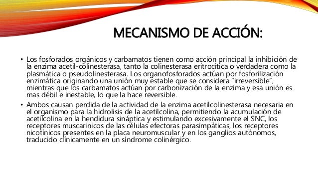 C mo establecer si alguien se ha intoxicado