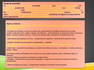 Grado de toxicidad
La ortiga común y las euforbiáceas no suelen provocar más que leves reacciones cutáneas. Las
Dieffenbachia pueden ser peligrosas si la hinchazón obstruye la tráquea. La importancia de las
reacciones cutáneas a las cáscaras de nuez de acajú, los mangos, la hiedra venenosa africana y
los zumaques tóxicos americanos depende de la sensibilidad del individuo, que es muy variable de
unas personas a otras. Rara vez se ingieren cantidades suficientes de alguna de estas plantas
como para que se produzca una intoxicación generalizada.

Signos y síntomas
Plantas del género Dieffenbachia, Philodendrum, Potus, Begonium y otras similares.(cala, begonia,
paleta de pintor (aráceas)
Por ingestión:
- hinchazón de los labios, la boca y la lengua que impide hablar por parálisis temporal de la cuerdas
vocales (“caña del mudo”), tragar o respirar normalmente, - fuerte sensación de quemadura dentro de la boca,
babeo - vómitos y diarrea (rara vez) - frecuencia cardíaca baja y calambres musculares (rara vez).
En los ojos:
- dolor intenso que empeora con la luz, - enrojecimiento y lagrimeo, - lesiones de la superficie ocular.
En la piel (contacto con la savia):
- irritación, sensación de quemadura y enrojecimiento, - ampollas.
Zumaques tóxicos de América, cáscara de la nuez de acajú y distintas partes del mango
Por ingestión:
- rubor facial, - sensación de quemadura y picazón en los labios y la boca, - somnolencia, - vómitos profusos y
diarrea, - fiebre.
En la piel:
Los efectos suelen manifestarse a las 24-48 horas, pero pueden aparecer antes o retrasarse hasta 1-2
semanas:
- picazón intensa, sensación de quemadura, enrojecimiento,
- ampollas, - hinchazón de la cara y de los párpados, - erupción con exudación, formación de costras y
descamación.
En los ojos:
- dolor que empeora con la luz, - enrojecimiento, lagrimeo e hinchazón de los párpados.

 