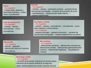 Boldo:
Por ingestión
- a bajas dosis, sedante y
levemente hipnótico - a altas
dosis, convulsivante.

Cola de quirquincho
Por ingestión
- vómitos, - diarrea, somnolencia, - coma, convulsiones.

Manzanilla
Por ingestión
- diarrea, - agitación,
- disminución del tono muscular,
- somnolencia.

Borraja
Por ingestión
- vómitos, - diarrea, - sudoración profusa, - aumento de las
secreciones bronquiales, - aumento de la emisión de orina,
- deshidratación, - trastornos del medio interno, metahemoglobinemia,

Eucalipto y menta
Por ingestión
- vómitos, - diarrea, - somnolencia, - convulsiones, - coma, daño hepático y renal (menta).
Por inhalación
- espasmo laríngeo, - espasmo bronquial,. - aumento de
secreciones bronquiales, - metahemoglobinemia (eucalipto).

Mil hombres
Por ingestión
- alteraciones cardíacas, - alteraciones respiratorias, alteraciones renales, - alteraciones gastrointestinales
(cólicos), - alteraciones hepáticas, - vasodilatación
cutánea.

Muérdago criollo
Por ingestión
- aumento de la tensión arterial en la primera etapa, descenso de la tensión arterial en la segunda
etapa, (ambos efectos por acción vascular directa)

 