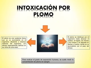 INTOXICACIÓN POR
PLOMO
El plomo es una sustancia tóxica
que se va acumulando en el
organismo afectando a diversos
sistemas del organismo, con
efectos especialmente dañinos en
los niños de corta edad.
El plomo se distribuye por el
organismo hasta alcanzar el
cerebro, el hígado, los riñones
y los huesos y se deposita en
dientes y huesos, donde se va
acumulando con el paso del
tiempo.
Para evaluar el grado de exposición humana, se suele medir la
concentración de plomo en sangre.