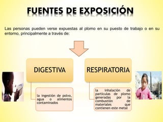 FUENTES DE EXPOSICIÓN
Las personas pueden verse expuestas al plomo en su puesto de trabajo o en su
entorno, principalmente a través de:
DIGESTIVA
la ingestión de polvo,
agua o alimentos
contaminados
RESPIRATORIA
la inhalación de
partículas de plomo
generadas por la
combustión de
materiales que
contienen este metal