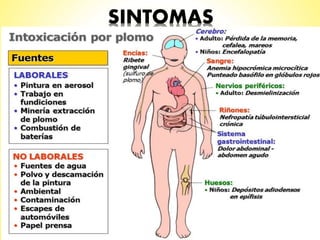 SINTOMAS