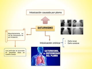 SATURNISMO
Intoxicación causada por plomo
Mayoritariamente su
vía de intoxicación es
por inhalación.
Las partículas se acumulan
en pequeñas dosis en
nuestro cuerpo.
Intoxicación crónica
• Daño renal.
• Daño cerebral.