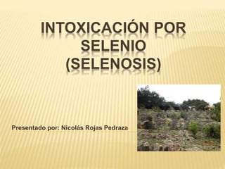 INTOXICACIÓN POR
SELENIO
(SELENOSIS)
Presentado por: Nicolás Rojas Pedraza
 