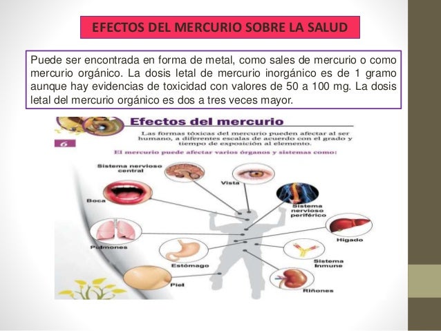 Intoxicación Con Mercurio – GIAU