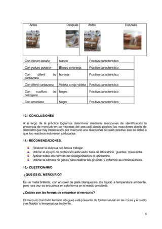 6
Antes Después Antes Después
Con cloruro estaño blanco Positivo característico
Con yoduro potasio Blanco o naranja Positivo característico
Con difenil tio
carbazona
Naranja Positivo característico
Con difenil carbazana Violeta o rojo violeta Positivo característico
Con suslfuro de
hidrogeno
Negro Positivo característico
Con amoniaco Negro Positivo característico
10.- CONCLUSIONES
A lo largo de la práctica logramos determinar mediante reacciones de identificación la
presencia de mercurio en las vísceras del pescado dando positivo las reacciones donde de
demostró que hay intoxicación por mercurio una reacciones no salió positivo eso se debió a
que los reactivos estuvieron caducados.
11.- RECOMENDACIONES.
Realizar la asepsia del área a trabajar.
Utilizar el equipo de protección adecuado: bata de laboratorio, guantes, mascarilla.
Aplicar todas las normas de bioseguridad en el laboratorio.
Utilizar la cámara de gases para realizar las pruebas y evitamos así intoxicaciones.
12.- CUESTIONARIO
¿QUE ES EL MERCURIO?
Es un metal brillante, con un color de plata blanquecina. Es líquido a temperatura ambiente,
pero rara vez se encuentra en esta forma en el medio ambiente.
¿Cuáles son las formas de encontrar al mercurio?
El mercurio (también llamado azogue) está presente de forma natural en las rocas y el suelo
y es líquido a temperatura ambiente.
 