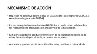 • Depresor no selectivo sobre el SNC (↑ GABA sobre los receptores GABA-A, ↓
receptores de glutamato NMDA)
• Exceso de equivalentes reducidos (NADH) hace que la mitocondria utilice
los hidrogeniones producidos del etanol y no de la ß oxidación
• La hiperlactacidemia produce disminución de la excreción renal de ácido
úrico, llevando a hiperuricemia, acumulación muscular.
• Aumenta la producción de betahidroxibutirato, que lleva a cetoacidosis.
MECANISMO DE ACCIÓN
 